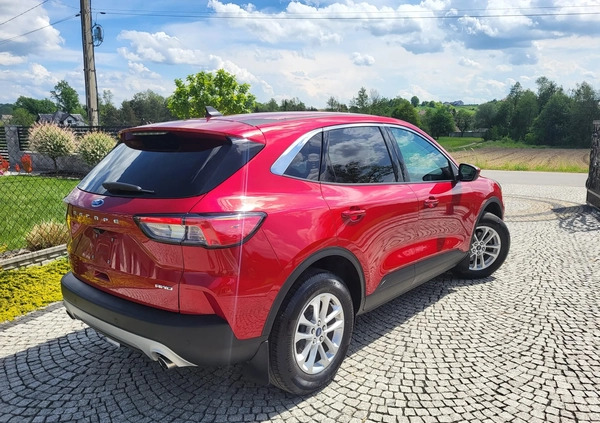 Ford Kuga cena 81999 przebieg: 18000, rok produkcji 2022 z Tarnów małe 631